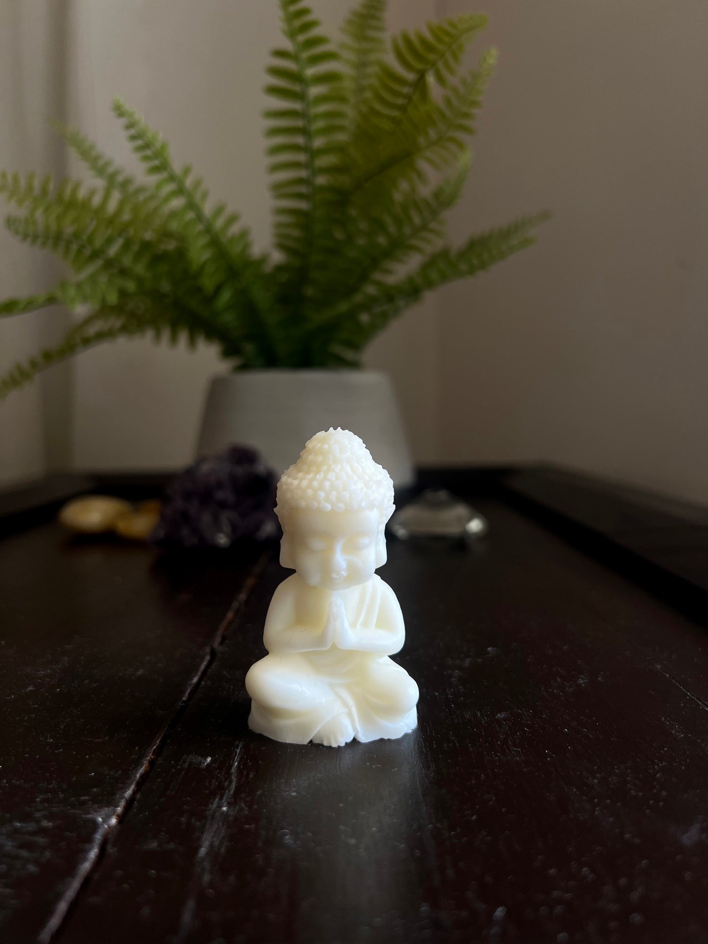 Vela Buda